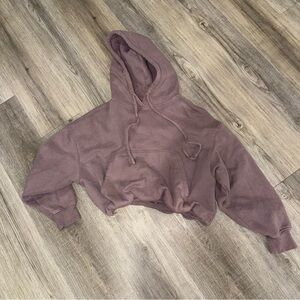 Urban Outfitters Mauve Hoodie